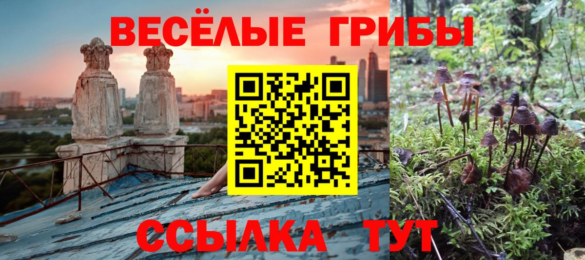Гашиш  Вход с VPN  А ПВП СОЛЬ   Каннабис  КОКАИН  NBOMe  MDMA  Стрежевой  Мефедрон   Гашиш 