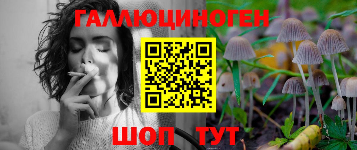 Стрежевой  Галлюциногенные грибы Psilocybe  закладки  Вход с VPN 